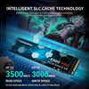 Fanxiang S501 512GB NVMe SSD 3D NAND1.3 PCIe Gen3x4 M.2 — close-up